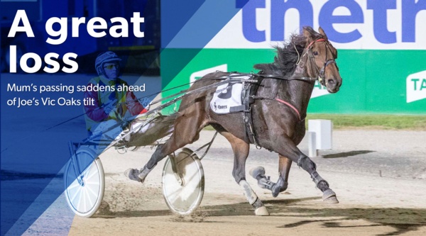 trotters-oaks-joe-mourns-loss-ahead-of-group-1