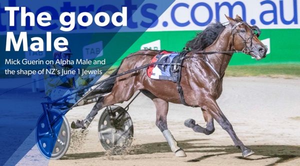 nz-jewels-aussies-emerge-to-chase-prize