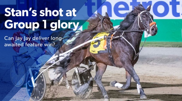 g1-trot-stan-takes-his-shot-at-big-time