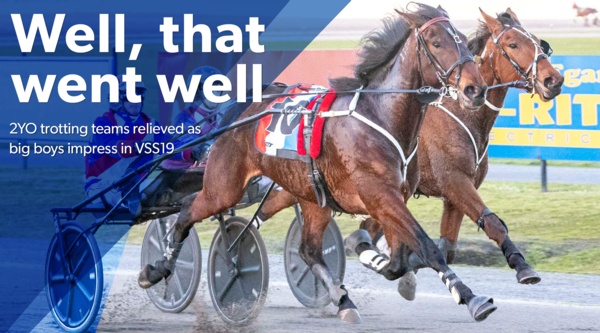 vicbred-series-2yo-trotting-teams-relieved