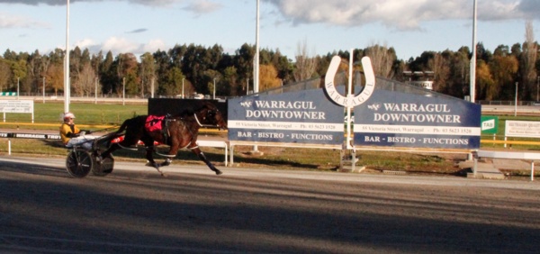 traralgon-cup-alford-notches-six-title-win