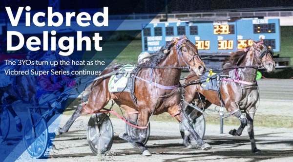 vicbred-series-night-2-brings-3yo-delight