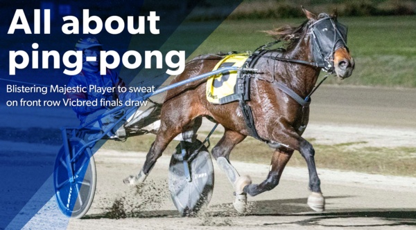vicbred-series-barrier-draw-a-big-player