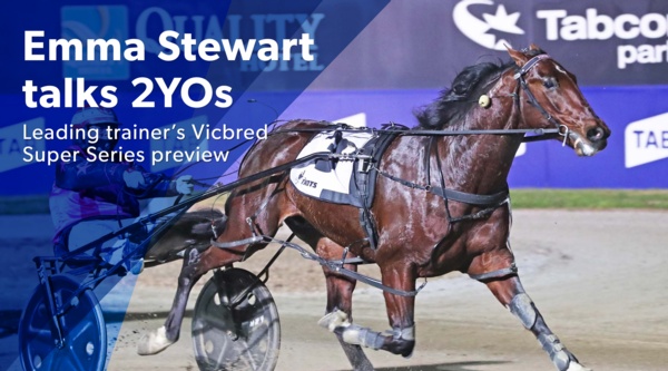 inside-word-stewarts-bendigo-preview