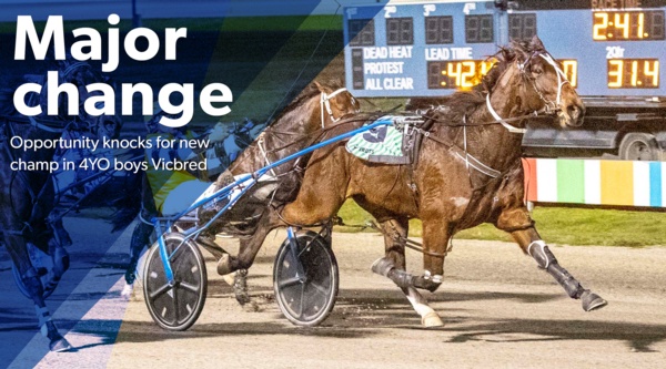 vicbred-series-new-champ-to-emerge