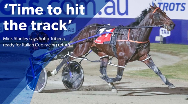 italian-cup-time-for-tribeca-to-hit-the-track