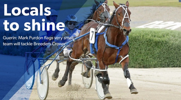 breeders-crown-all-stars-flags-small-team