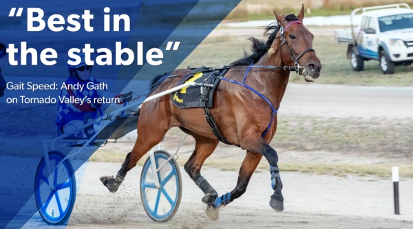 saturday-night-valley-returns-stablemate-setback
