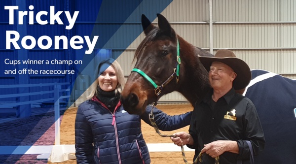 hrv-hero-spotlight-shines-on-rooney