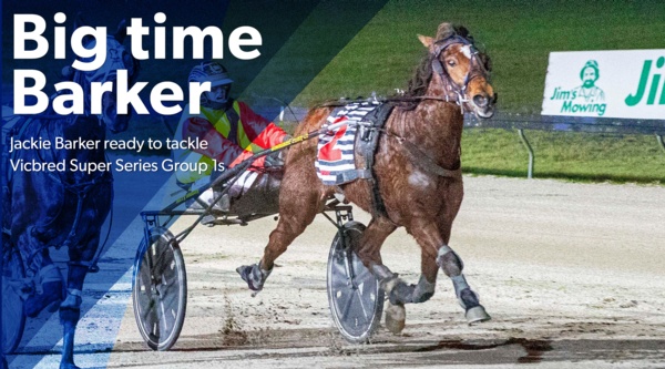 vicbred-series-big-time-awaits-jackie-barker