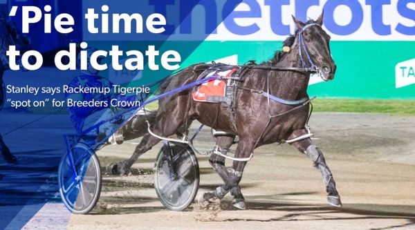 breeders-crown-pie-time-to-dictate