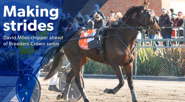 breeders-crown-miles-ready-to-take-big-strides