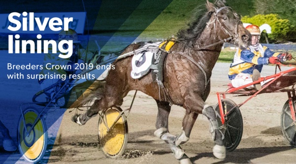 breeders-crown-geelong-silvers-recap