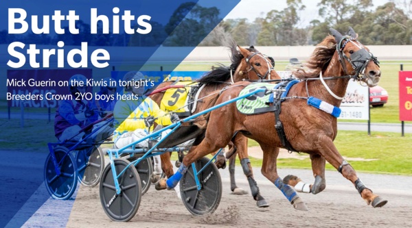 breeders-crown-butt-taking-support-in-stride