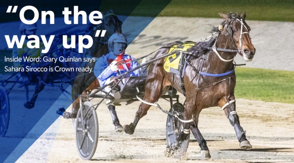 breeders-crown-sahara-heating-up-for-assault