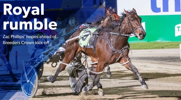 breeders-crown-zac-phillips-hunt-begins