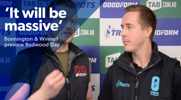 redwood-classic-goodform-video-preview