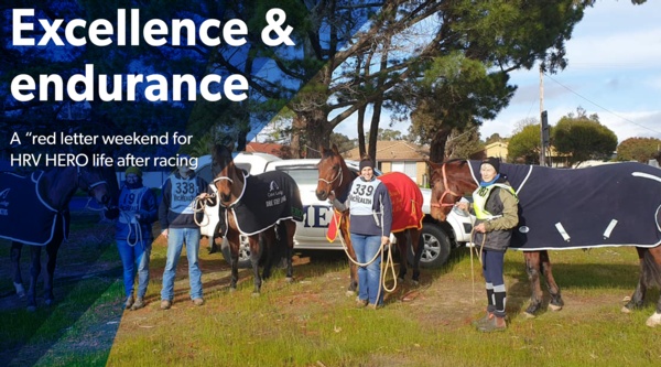hrv-hero-new-life-after-racing-standard-set