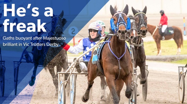 vic-derby-majestuoso-confirms-star-status
