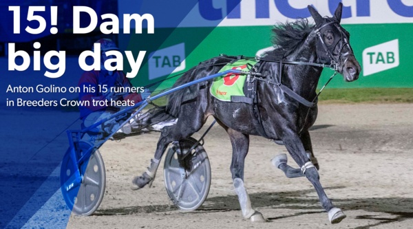 breeders-crown-golino-on-his-15-runners