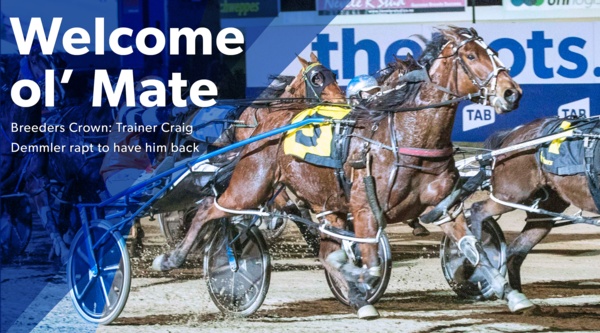 breeders-crown-craig-happy-mates-back