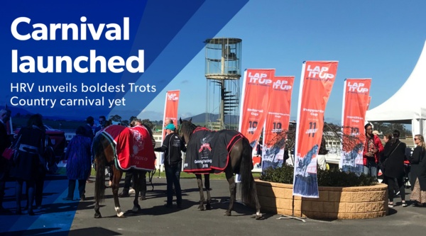 country-cups-carnival-launched-at-the-valley