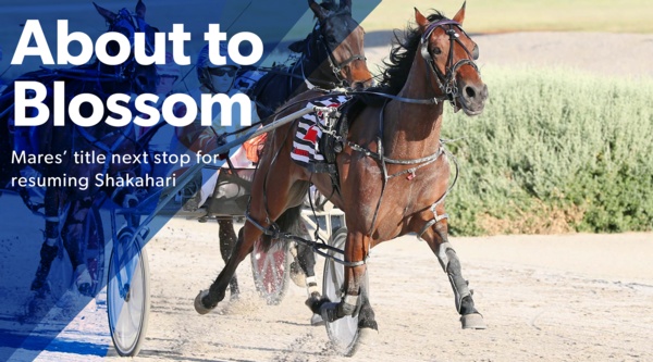 blossom-lady-shakahari-on-comeback-trail