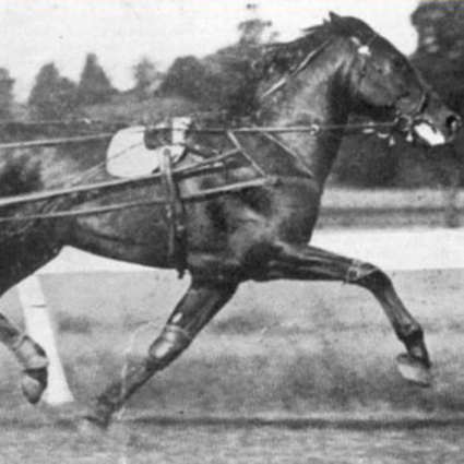 belmont-studs-grand-history-shared-ahead-of-hall-of-fame