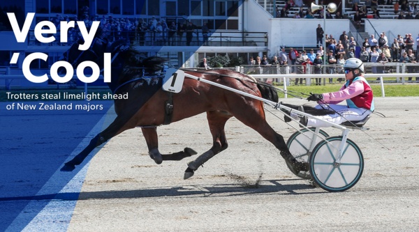 nz-racing-trots-could-steal-limelight