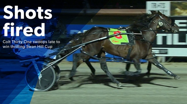 swan-hill-colt-salutes-in-final-strides