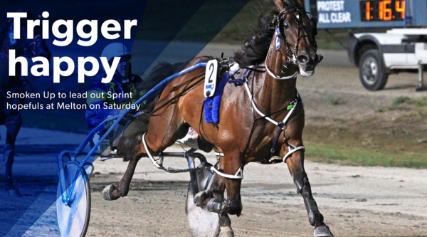 smoken-up-trigger-to-lead-sprint-field