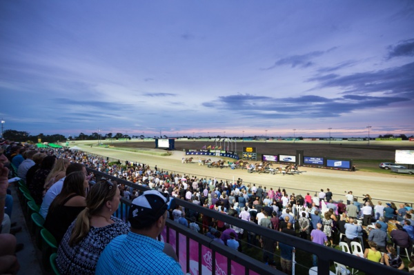 breeders-crown-barrier-draw