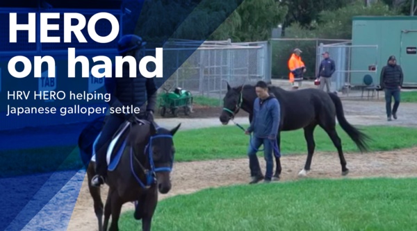 spring-carnival-hero-befriends-raider