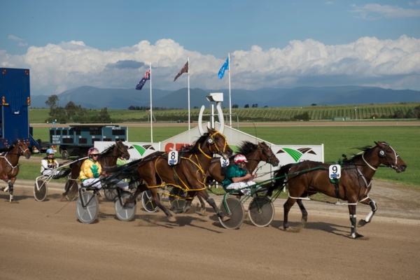 heavy-falls-force-grass-racing-back-to-trots-track