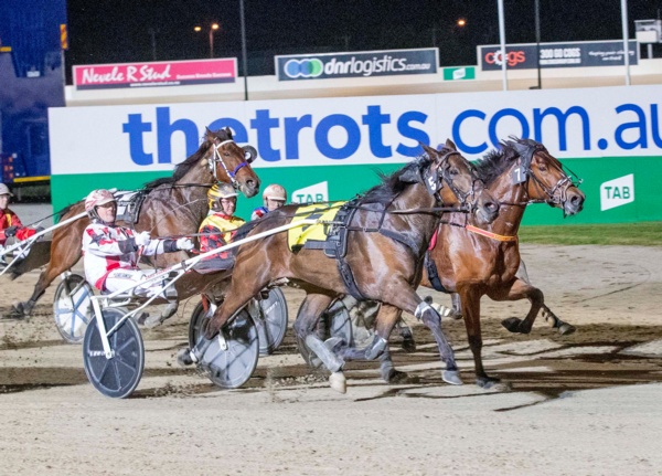 magicool-night-for-chris-svanosio-at-melton