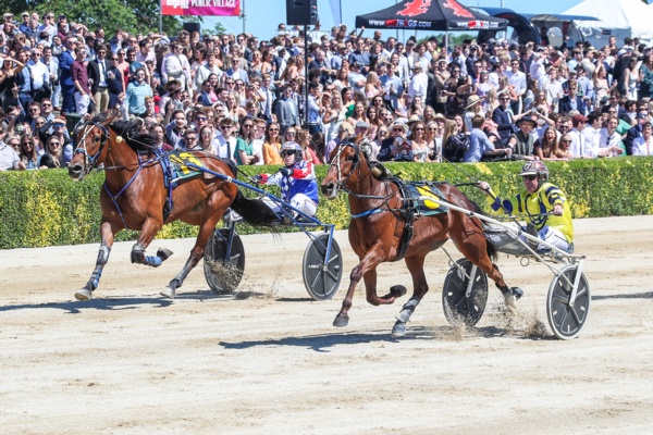 tough-aussies-finish-one-two-in-new-zealand-trotting-ffa