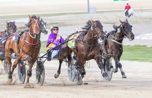 lee-looms-at-head-of-metro-drivers-premiership-after-tabcorp-park-triple-treat