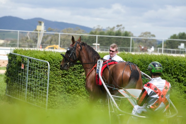 lilley-cant-wait-for-turfs-great-return-at-yarra-valley