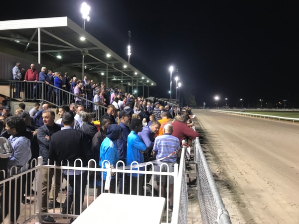 heat-relief-for-participants-equine-and-human-at-mildura