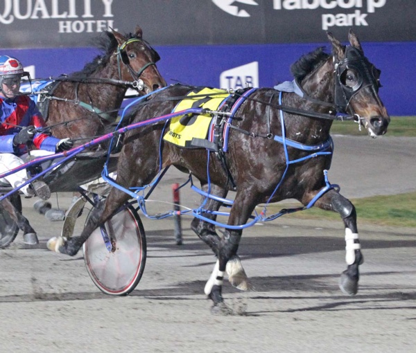 aussie-hope-turns-to-kiwi-reinsman-for-nz-cup