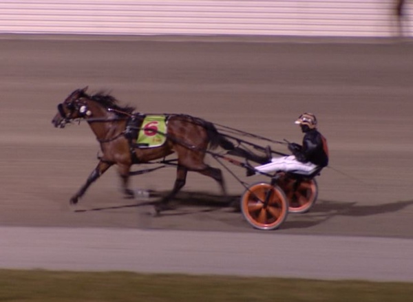 miki-taking-barker-stable-on-special-ride