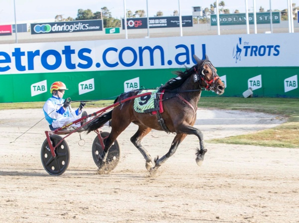herbs-got-the-winning-bug-with-first-melton-treble