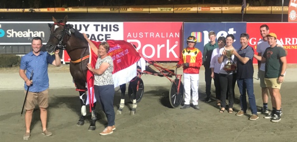 punter-cracks-the-code-for-big-bets-win-at-big-odds