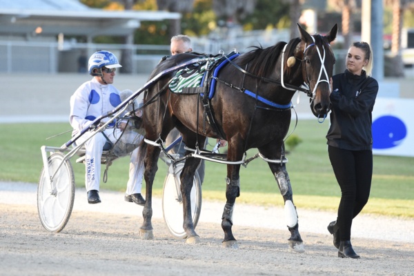 belle-steps-out-at-barry-purdon-eyes-ladyship-and-vic-derby