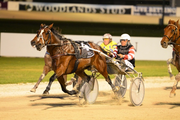 massive-great-southern-star-boost-as-top-kiwis-flag-vic-raid