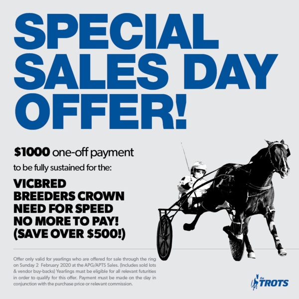 sunday-sales-live-at-thetrots-com-au
