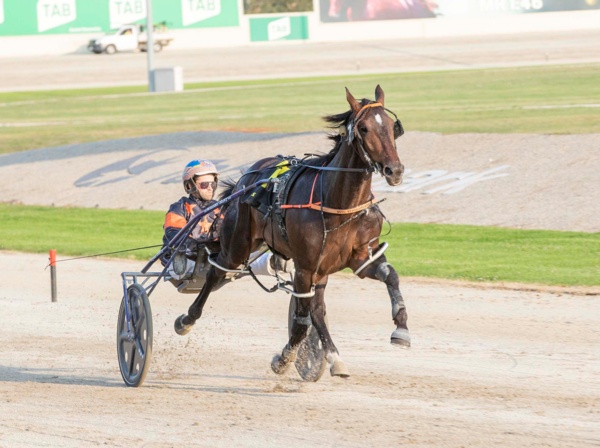 soho-good-debut-for-stanley-2yo-drops-jaws