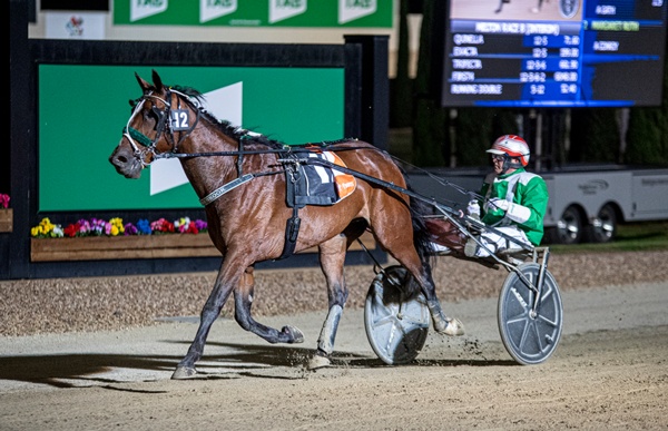 leading-kiwi-trotters-eye-more-melton-magic