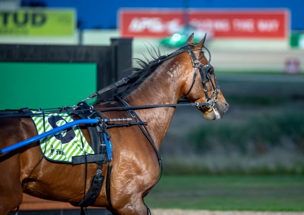 chance-to-seymour-hrv-heroes-at-farm-expo