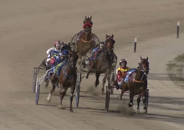 deep-dive-two-year-olds-ready-to-give-it-a-shake-at-melton
